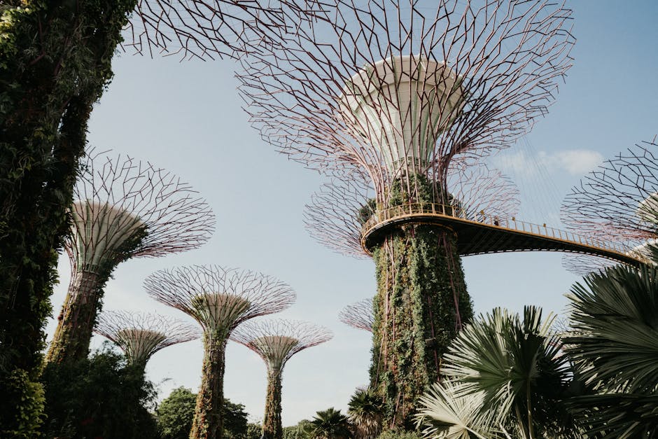 Majestic view of Supertree Grove at Gardens by the Bay in Singapore, showcasing unique architecture and nature.