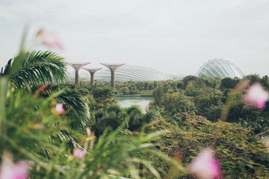 A vibrant view of Gardens by the Bay in Singapore, featuring lush greenery and iconic structures.